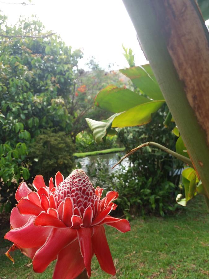 Rancho De Lelo Ecolodge Monteverde ภายนอก รูปภาพ