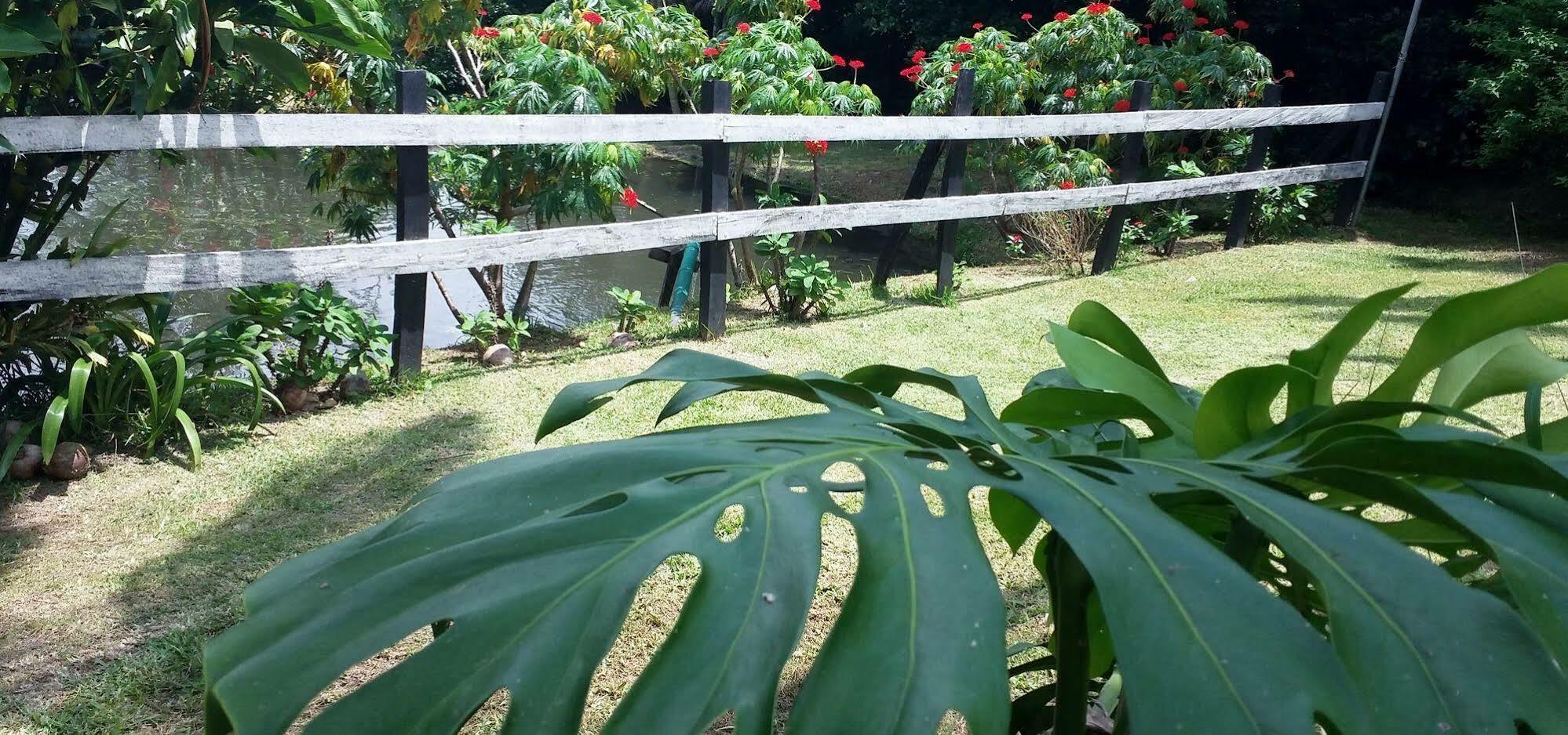 Rancho De Lelo Ecolodge Monteverde ภายนอก รูปภาพ
