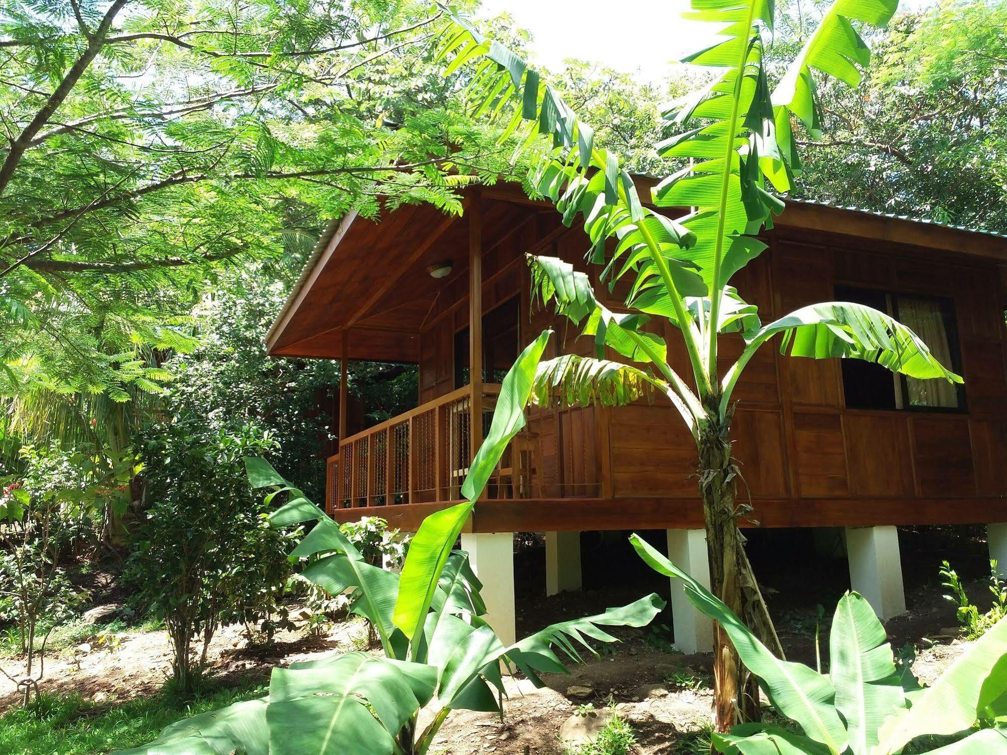 Rancho De Lelo Ecolodge Monteverde ภายนอก รูปภาพ