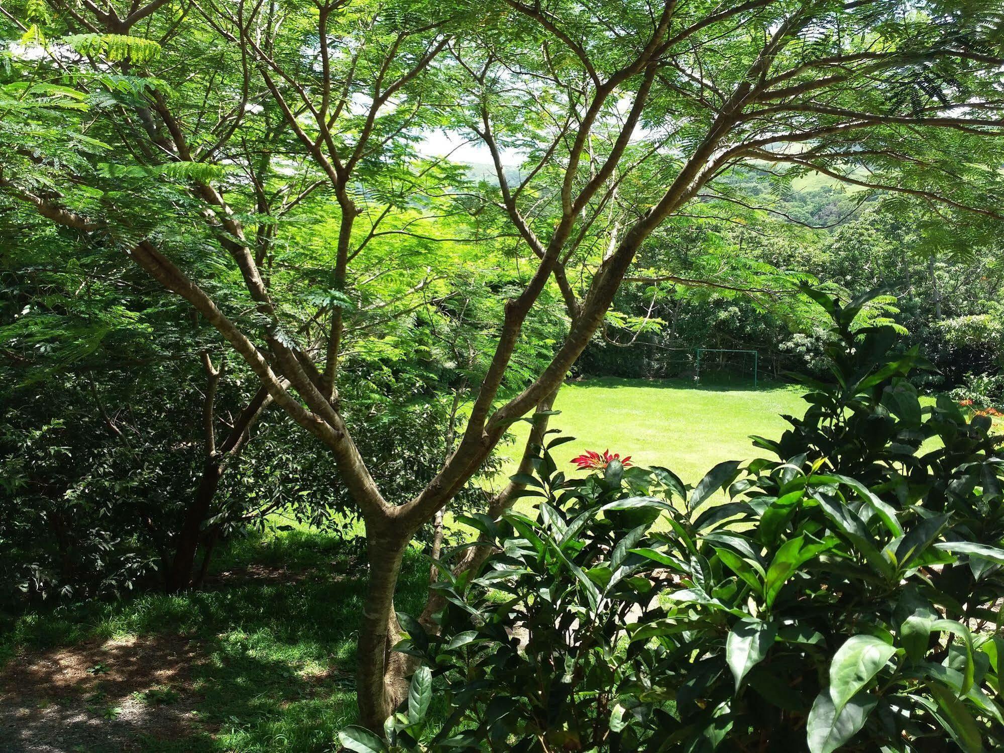 Rancho De Lelo Ecolodge Monteverde ภายนอก รูปภาพ