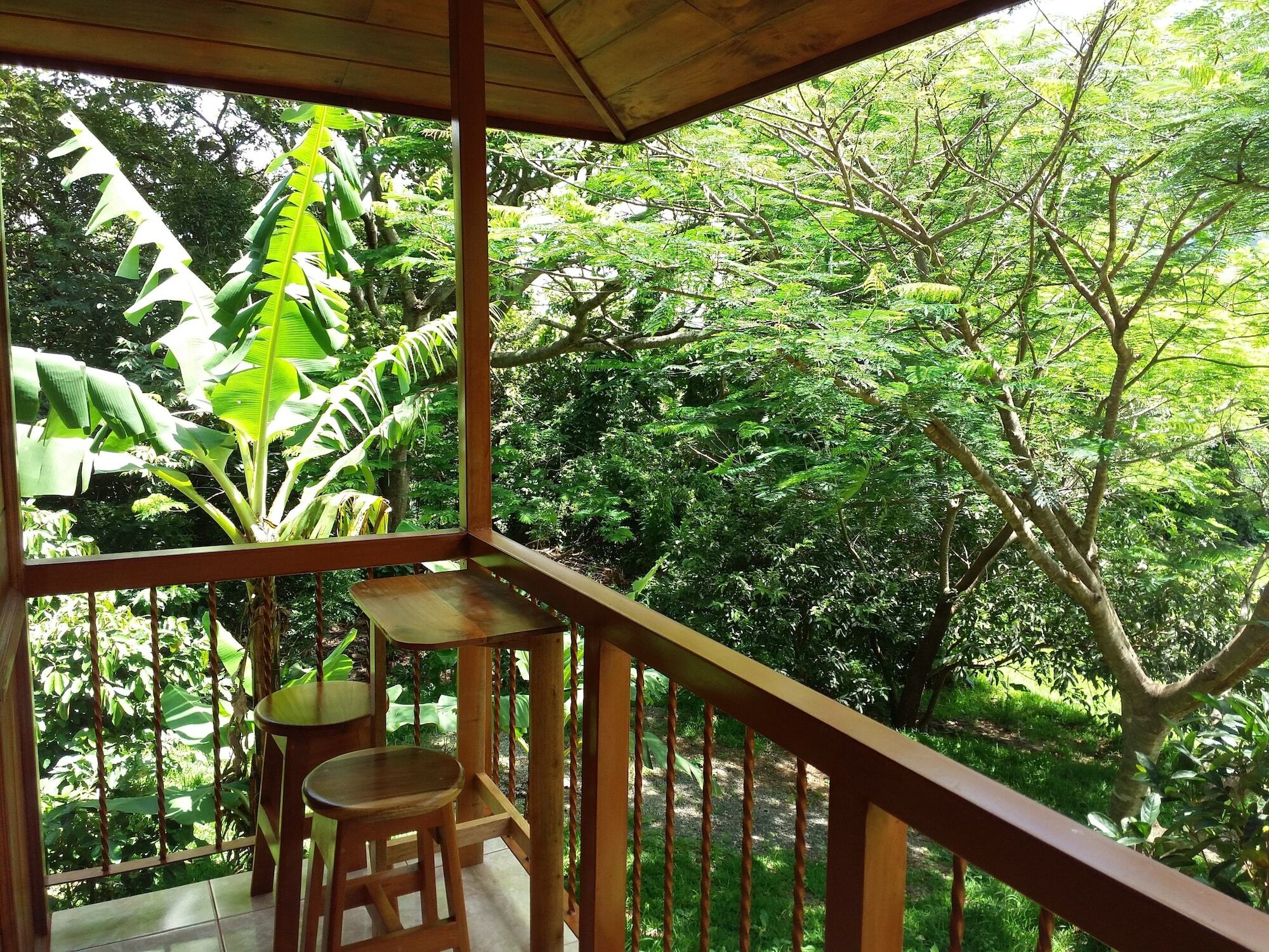 Rancho De Lelo Ecolodge Monteverde ภายนอก รูปภาพ